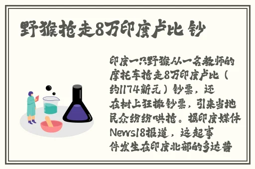 四川少妇bbbb